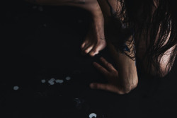 teaser1_1002102 leoFad2 60op copy.jpg